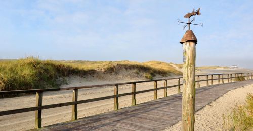 Holzweg mit Wegweiser am Rand